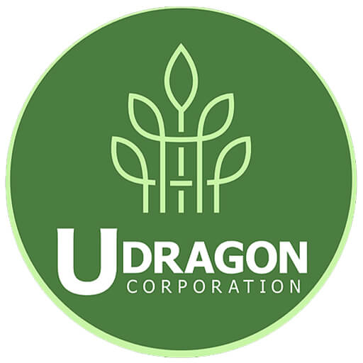 UDragon Site Icon